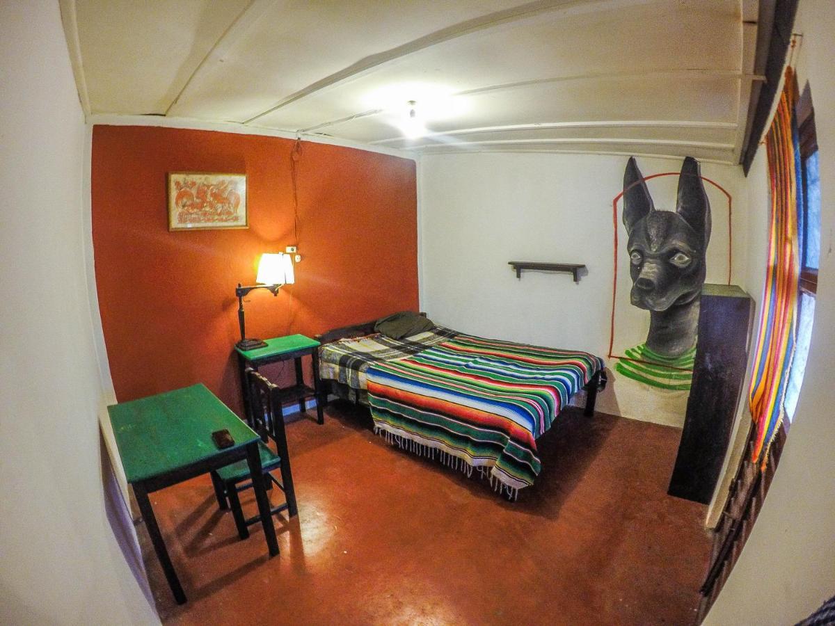 Hostel El Nagual San Cristóbal de Las Casas Εξωτερικό φωτογραφία